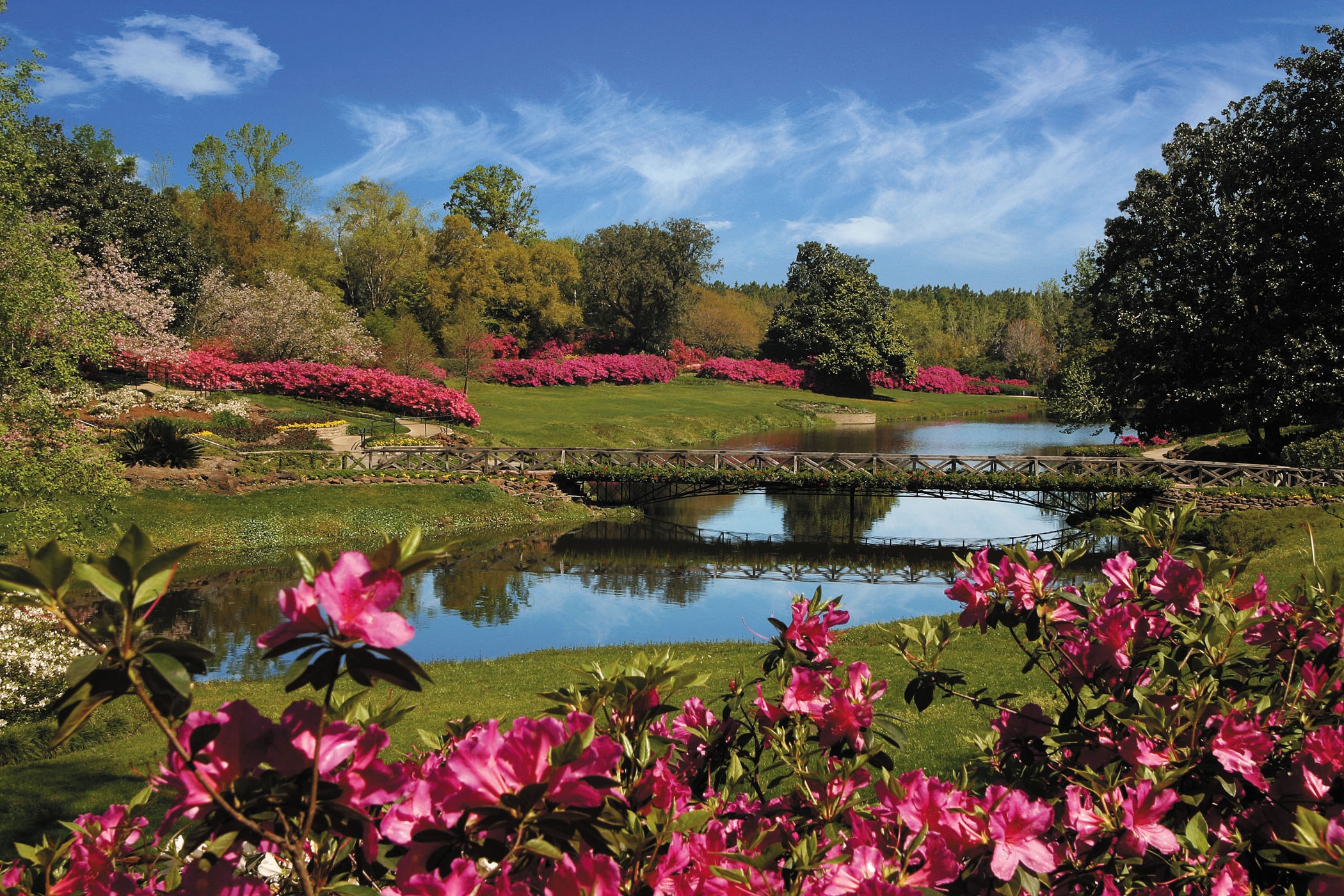 Theodore Alabama homes for sale and real estate