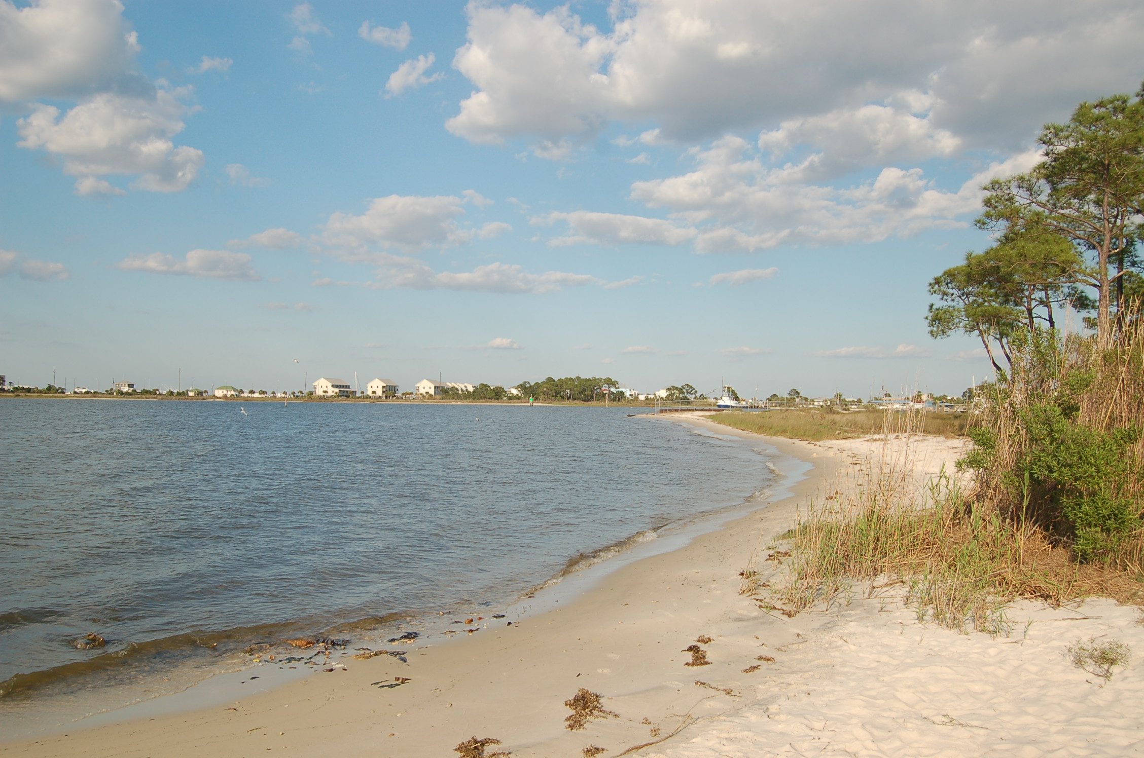 Dauphin Island Alabama homes for sale waterfront homes and real estate