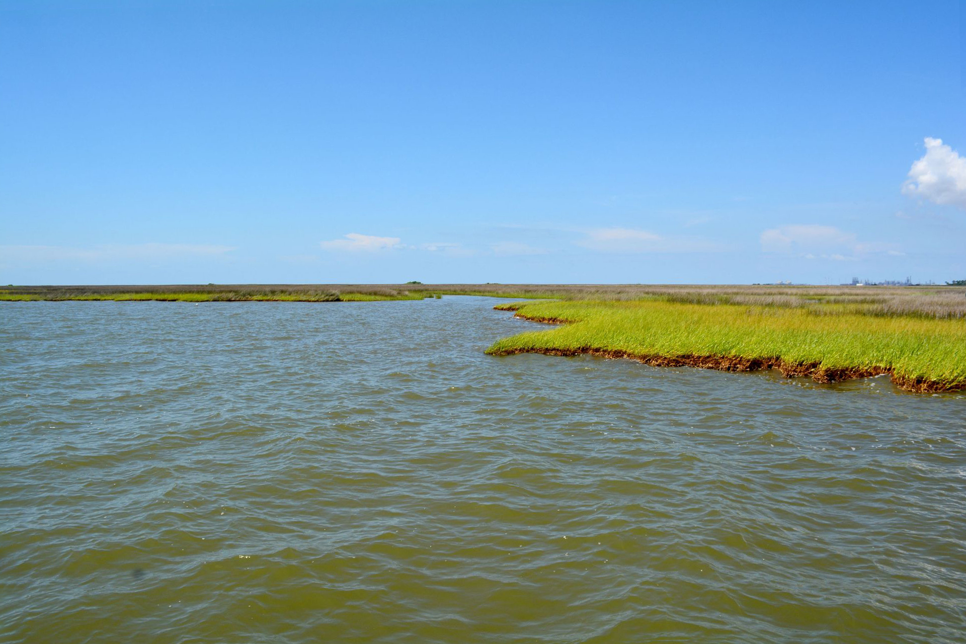 Grand Bay Alabama homes for sale and real estate